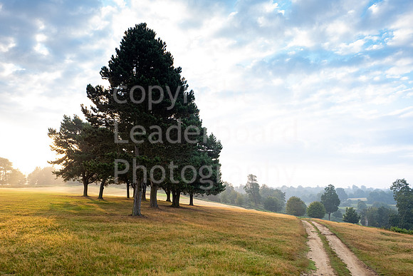 LBP_Champion_Day1_Club_Knole-25