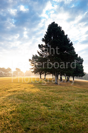 LBP_Champion_Day1_Club_Knole-24