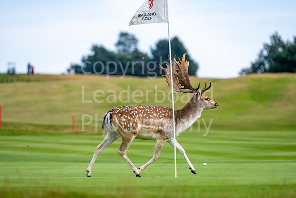 LBP_Champion_Club_Knole-76