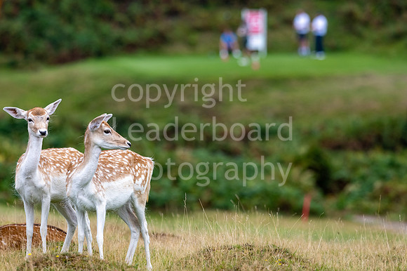 LBP_Champion_Club_Round2_Knole_-38