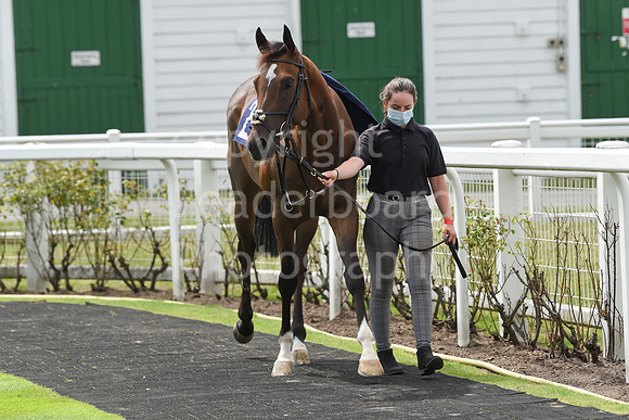 Great_Yarm_Racing_15July-4