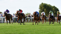 06_GY_Races_20Aug