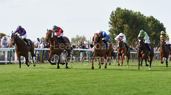 06_GY_Races_20Aug