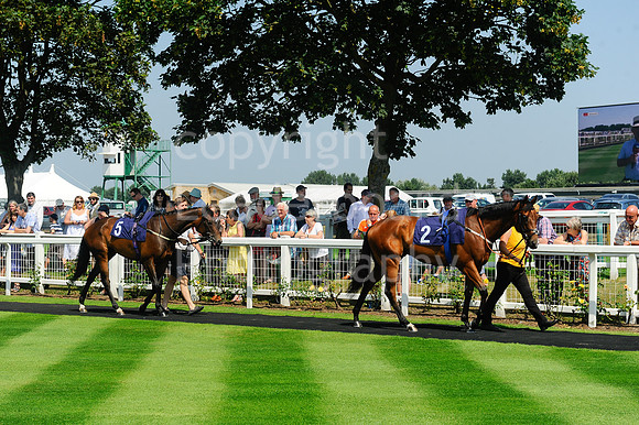 GY_Races_25_July-5