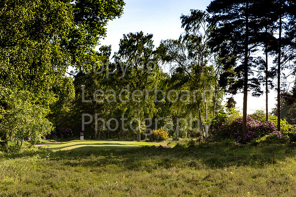 LB_Brabazon_2017_3114