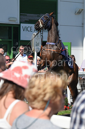 Gt_Yarm_Races_10_Aug_2022-88