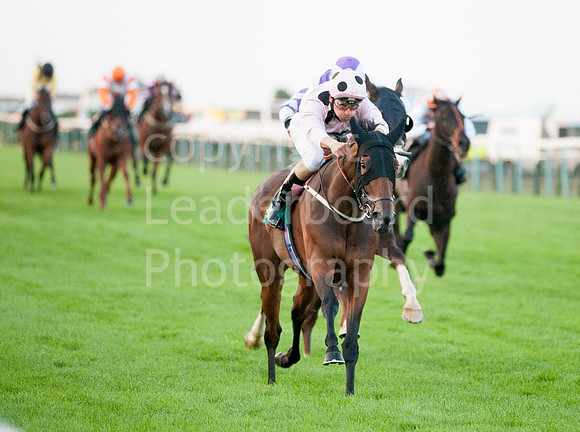 LB_JGYR_August_13_2014__204