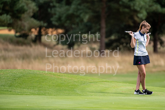 337_GOLF_WEEK_2018