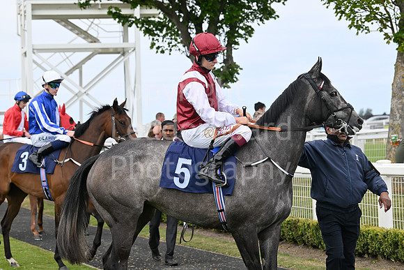 Gt_Yarm_May14_2025-101