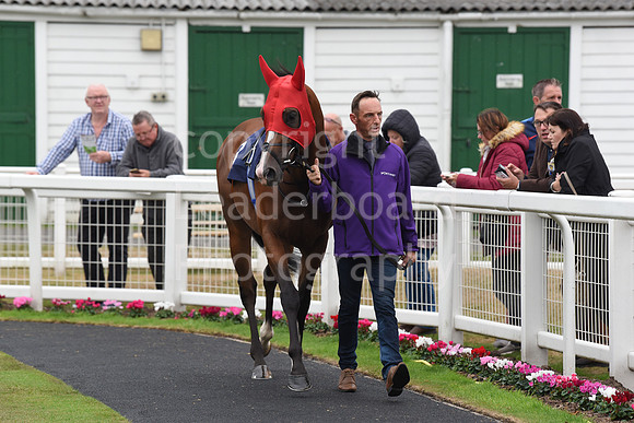 Gt_Yarm_Eastern_Fest_Day_1-75