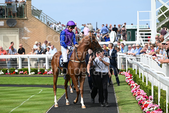 Gt_Yarm_Aug_8_2024-40