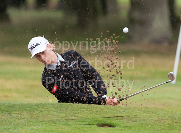 LB_Carris_2015_2641