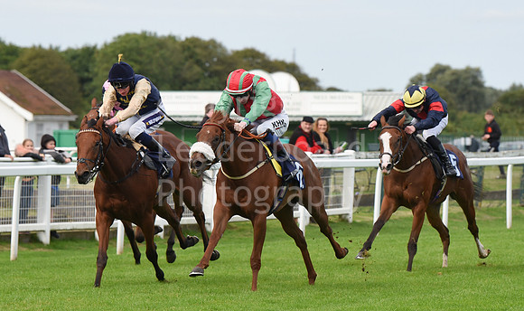 Gt_Yarm_25th_Sept_2022-18