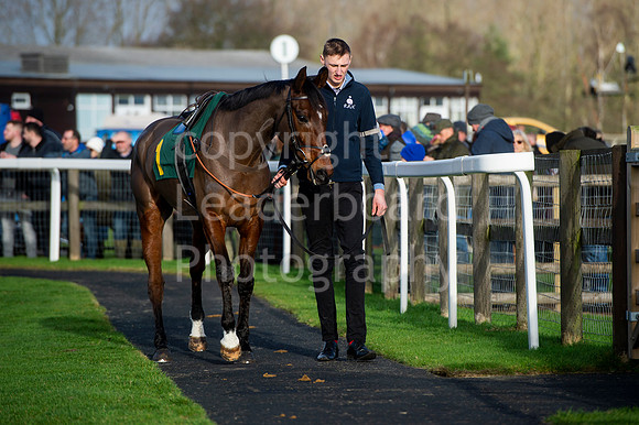 NB_002_Fakenham_New_Year_Races