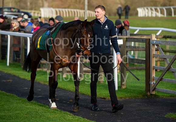 NB_004_Fakenham_New_Year_Races