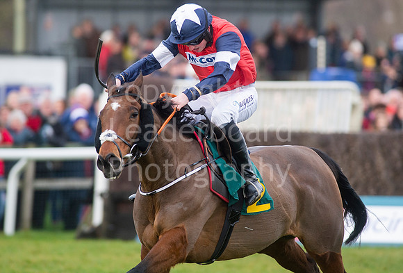 NB_017_Fakenham_New_Year_Races
