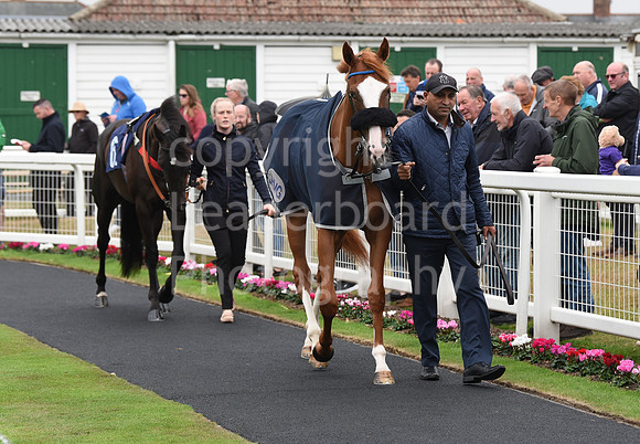 Gt_Yarm_Eastern_Fest_Day_1-2