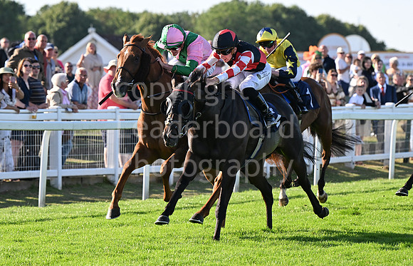 Gt_Yarm_Ladies Night_2025-39
