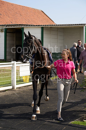 Great Yarmouth  Race Six 11th Aug 2021 0428