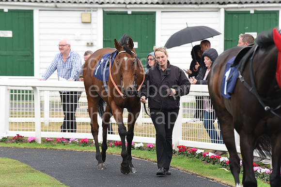Gt_Yarm_Eastern_Fest_Day_1-77