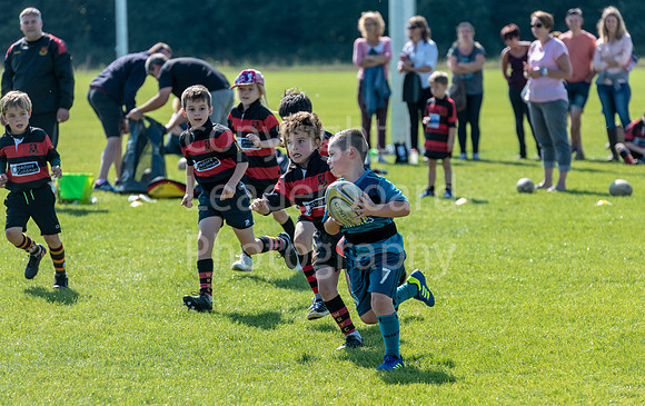 bs_66_WRFC_2018