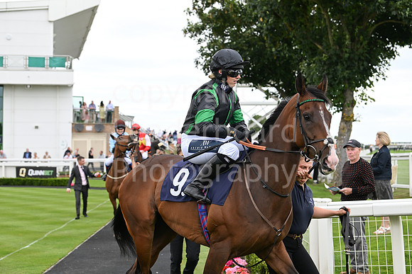 Gt_Yarm_Aug_7_2024-11