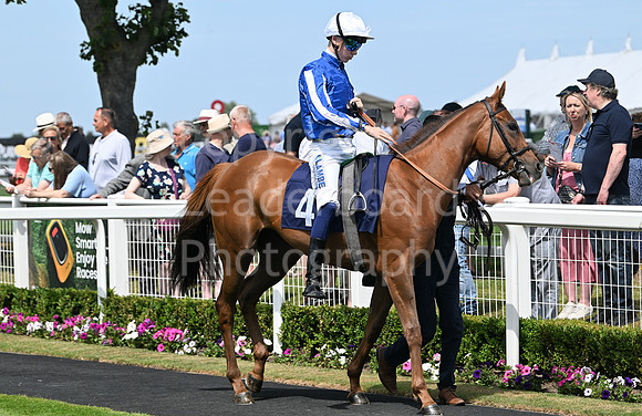 Gt_Yarm_Residents_Day_June_27-43
