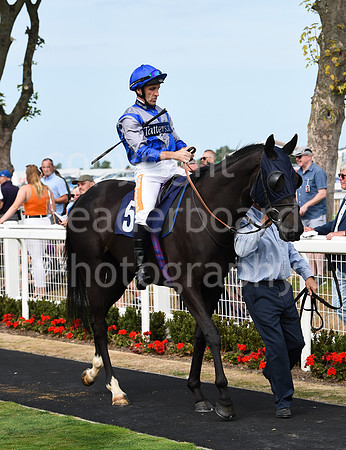 Gt_Yarm_21_Aug_2022-83