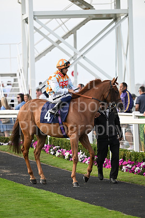 Gt_Yarm_6_Aug_2025-167
