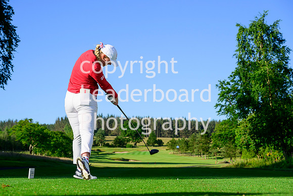 NZ9_3619