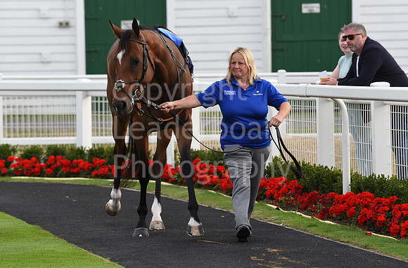 Gt_Yarm_3_Aug_2022-104