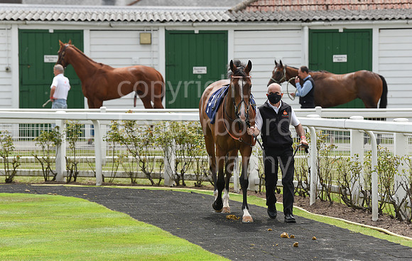 Great_Yarm_Racing_15July-62