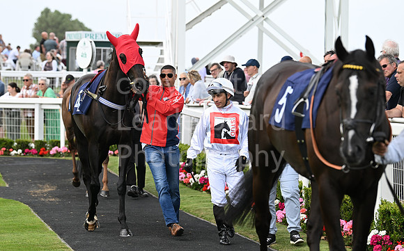 Gt_Yarm_Aug_8_2024-208