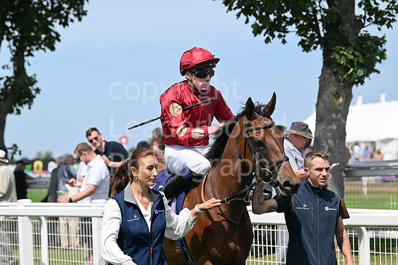 Gt_Yarm_Residents_Day_June_27-56