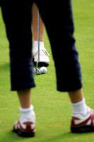AJ_09_PING_PLATE_2009