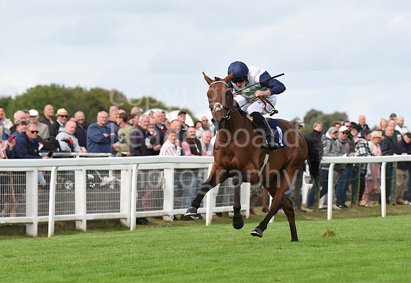 Gt_Yarm_15_Sept_2022-50
