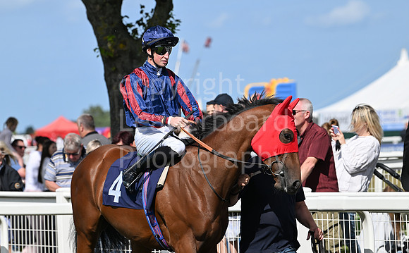 Gt_Yarm_25_Aug_Family_Raceday_2024-49
