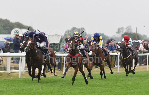 Gt_Yarm_Eastern_Fest_Day_1-94