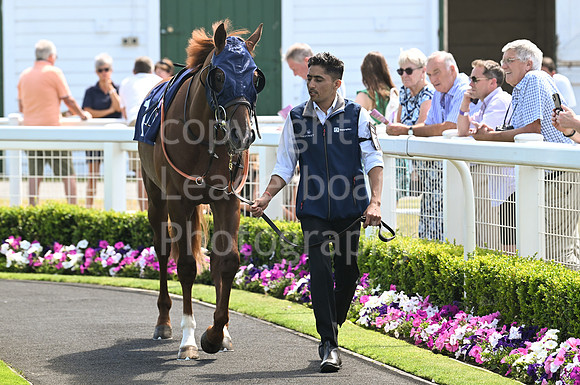 Gt_Yarm_Racing_9th_July-1