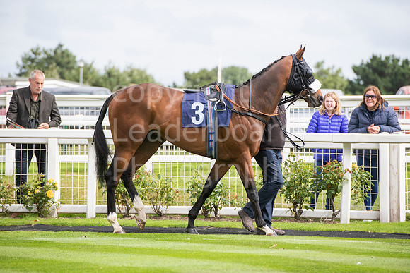 LBP_8194