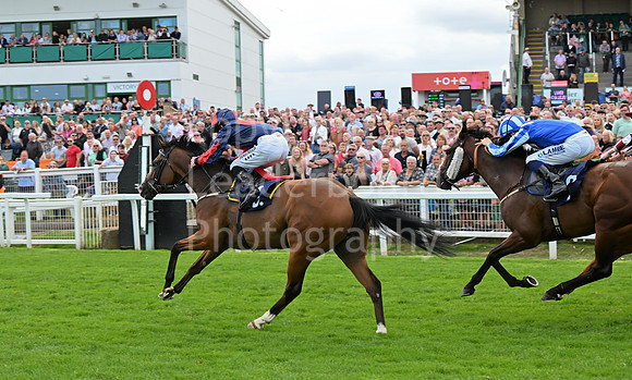 Gt_Yarm_25_Aug_Family_Raceday_2024-213