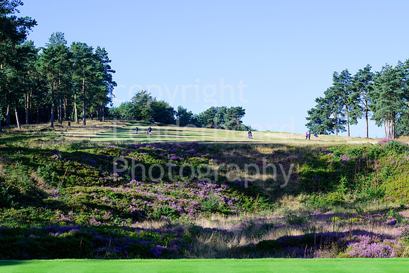 NB_269_English_Women's_Open_2022