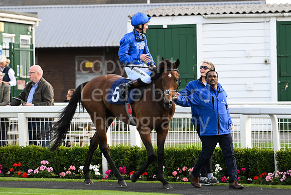 Gt_Yarm_25_Aug_Family_Raceday_2024-163