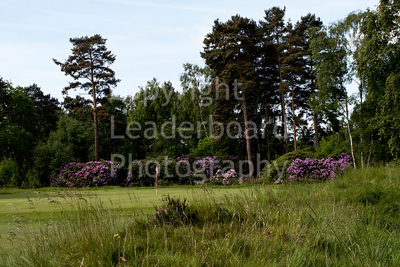 LB_Brabazon_2017_0259