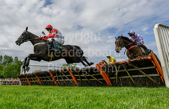 008_FAKENHAM_RACES_JUNE_2019