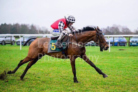 NJB_3632