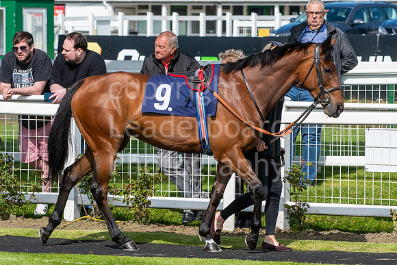 LBP_5494