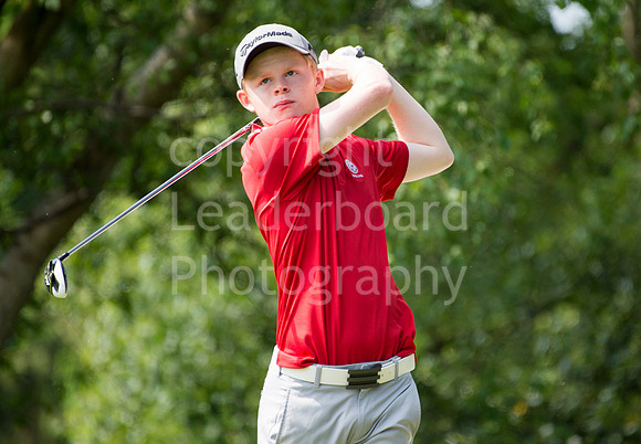 LB_Brabazon_2017_1049