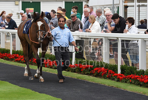 Gt_Yarm_21_July_2022-1