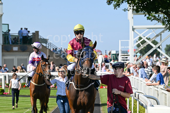 Gt_Yarm_July_30_2024-189